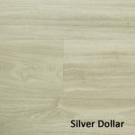 SILVER-DOLLAR-CC192-1